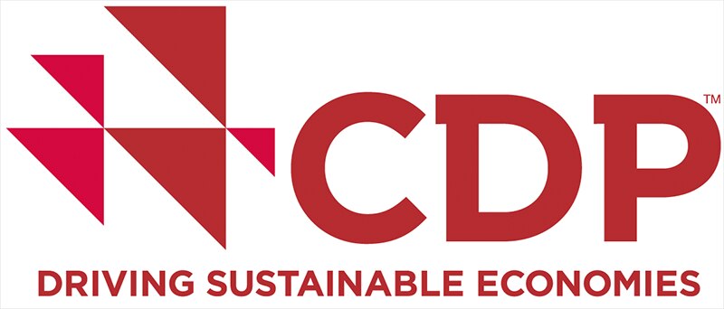 CDP Disclosure Insight Action
